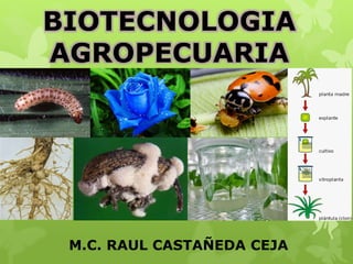 BIOTECNOLOGIA
AGROPECUARIA
M.C. RAUL CASTAÑEDA CEJA
 