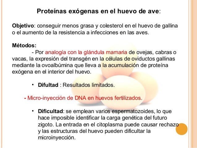 Ay las eccemas las respuestas por la economía