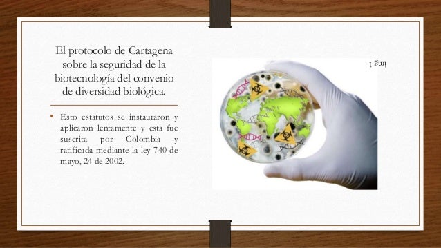 Biotecnologia en colombia pdf to jpg