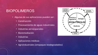 BIOPOLIMEROS
• Algunas de sus aplicaciones pueden ser:
• Construcción

• Procesamiento de aguas industriales
• Industrias aeroespaciales
• Bioremediación

• Industrias
• Aplicaciones médicas
• Agroindustriales (empaques biodegradables)

 