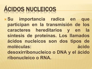 ÁCIDOS NUCLEICOS
 Su importancia radica en que
participan en la transmisión de los
caracteres hereditarios y en la
síntesis de proteínas. Los llamados
ácidos nucleicos son dos tipos de
moléculas: ácido
desoxirribonucleico o DNA y el ácido
ribonucleico o RNA.
 