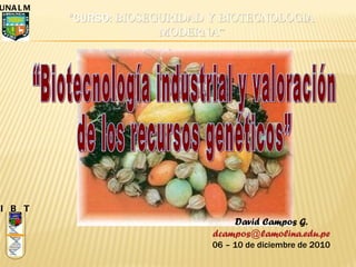 “Biotecnología industrial y valoración de los recursos genéticos” I  B  T UNALM David Campos G. [email_address] 06 – 10 de diciembre de 2010 “ CURSO:  BIOSEGURIDAD Y BIOTECNOLOGIA MODERNA” 