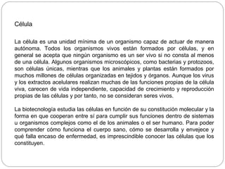 Célula
La célula es una unidad mínima de un organismo capaz de actuar de manera
autónoma. Todos los organismos vivos están formados por células, y en
general se acepta que ningún organismo es un ser vivo si no consta al menos
de una célula. Algunos organismos microscópicos, como bacterias y protozoos,
son células únicas, mientras que los animales y plantas están formados por
muchos millones de células organizadas en tejidos y órganos. Aunque los virus
y los extractos acelulares realizan muchas de las funciones propias de la célula
viva, carecen de vida independiente, capacidad de crecimiento y reproducción
propias de las células y por tanto, no se consideran seres vivos.
La biotecnología estudia las células en función de su constitución molecular y la
forma en que cooperan entre sí para cumplir sus funciones dentro de sistemas
u organismos complejos como el de los animales o el ser humano. Para poder
comprender cómo funciona el cuerpo sano, cómo se desarrolla y envejece y
qué falla encaso de enfermedad, es imprescindible conocer las células que los
constituyen.
 