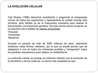 LA EVOLUCIÓN CELULAR
Carl Woese (1980) denominó protobionte o progenote al antepasado
común de todos los organismos y representaría la unidad viviente más
primitiva, pero dotada ya de la maquinaria necesaria para realizar la
transcripción y la traducción genética. De este tronco común surgirían en
la evolución tres modelos de células procariotas :
•Arqueas
•Urcariotas
•Bacterias
Durante un período de más de 2000 millones de años, solamente
existieron estas formas celulares, por lo que se puede pensar que se
adaptaron a vivir en todos los ambientes posibles y "ensayarían" todos
los posibles mecanismos para realizar su metabolismo.
La evolución celular se produjo en estrecha relación con la evolución de
la atmósfera y de los océanos. La teoría más aceptada es que :
 