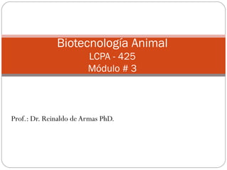 Prof.: Dr. Reinaldo de Armas PhD.
Biotecnología Animal
LCPA - 425
Módulo # 3
 