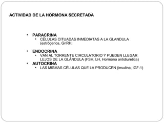 ACTIVIDAD DE LA HORMONA SECRETADA
• PARACRINA
• CÉLULAS CITUADAS INMEDIATAS A LA GLANDULA
(estrógenos, GnRH,
• ENDOCRINA
• VAN AL TORRENTE CIRCULATORIO Y PUEDEN LLEGAR
LEJOS DE LA GLÁNDULA (FSH, LH, Hormona antidiurética)
• AUTOCRINA
• LAS MISMAS CÉLULAS QUE LA PRODUCEN (insulina, IGF-1)
 