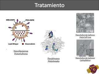 Nanotubos de Carbono
HeLa Cell Line
Nanotubos de Carbono
Carboplatino
Dendrímeros
Metotrexato
Nanoliposomas
Doxorrubicina
 