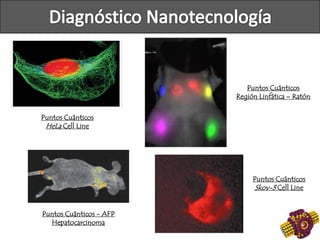 Puntos Cuánticos
HeLa Cell Line
Puntos Cuánticos
Región Linfática – Ratón
Puntos Cuánticos - AFP
Hepatocarcinoma
Puntos Cuánticos
Skov-3 Cell Line
 
