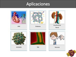 IAM Diabetes
Insuficiencia
Renal
HIV/AIDS TBC Vacunas
 