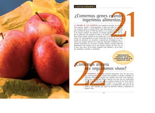 21
22.27.
¿Comemos genes cuando
ingerimos alimentos?
¿Comemos alguna
vez organismos vivos?
LA MAYORÍA DE LOS ALIMENTOS que ingerimos proceden de los seres
vivos (animal, vegetal o microorganismo), y dado que todos los seres vi-
vos contienen genes se puede afirmar que habitualmente comemos una
gran cantidad de genes. El ADN (los genes) es un componente importan-
te de nuestra nutrición. No obstante, no siempre ingerimos genes con to-
dos los alimentos. Por ejemplo, la leche es un fluido animal que no con-
tiene células cuando procede de un animal sano y por eso si no se con-
tamina con microorganismos la leche estará libre de genes. Por otro lado,
cuando los alimentos son sometidos a tratamientos tecnológicos muy in-
tensos que incluyan procesos de extracción, horneado, destilación, trata-
mientos enzimáticos, etc., los genes se pueden eliminar o pueden sufrir una
degradación muy elevada, por lo que quedan ausentes de ellos. Este es
el caso, entre otros, de los aceites vegetales muy refinados o de las bebi-
das alcohólicas sometidas a destilación.
EN NUMEROSAS OCASIONES comemos organismos vivos. No sólo come-
mos microorganismos que puedan estar incluidos en grandes cantidades en
alimentos fermentados (yogur), sino también otros seres vivos macroscó-
picos como los vegetales (frutas, verduras, etc.) que una vez recolectados
siguen siendo materia viva sujeta a cambios, aunque de una forma distinta
que cuando se encontraban en el árbol o en el campo, a no ser que se
inactiven por procesos de conservación o estabilización. Qué decir de las
ostras y otros animales que según las diferentes culturas y tradiciones se
ingieren vivos.
c u r i o s i d a d e s
Habitualmente
comemos una gran
cantidad de genes y de
organismos vivos
 