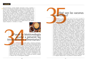 .41..40.
s a l u d
gicas del estómago e intestino delgado, alcanzando el colon y ayudando a
mantener una microbiota bacteriana lo más adecuada posible para noso-
tros. Las leches fermentadas ácido-alcohólicas, de menor consumo, se ela-
boran a partir de microorganismos que conducen a la formación, además
de ácido láctico, de alcohol etílico y de dióxido de carbono (CO2). El re-
presentante más conocido de este tipo de leches fermentadas es el Kefir (Cáu-
caso), aunque hay otros como el Kumis (Rusia), o el Fuli (Finlandia). La
elaboración del Kefir se lleva a cabo mediante dos fermentaciones; una de
tipo láctica, debida a Lactobacillus lactis y a otras bacterias de los géneros
Leuconostoc, Lactobacillus y Acetobacter, y otra de tipo alcohólica, mediante
levaduras que fermentan la lactosa como Kluyveromyces marxiamus y Can-
dida kefir, así como otras levaduras que no utilizan lactosa como Saccha-
romyces unisporus, S. cerevisiae y S. exiguus.
34¿Puede la biotécnología
ayudar a prevenir las
intoxicaciones alimentarias?
SIN DUDA LA BIOTECNOLOGÍA puede ayudar a prevenir las intoxicacio-
nes alimentarias de distintas maneras. Una de ellas es desarrollando sistemas
de diagnóstico rápidos y sensibles que permitan detectar los organismos pa-
tógenos o los compuestos tóxicos antes de ingerirlos. Por otro lado, se
están desarrollando microorganismos protectores que eviten la presencia de
organismos patógenos. Por ejemplo, para obtener derivados lácteos y pro-
ductos cárnicos curados o encurtidos, se están diseñando bacterias ácido-
lácticas que producen además del ácido láctico otras sustancias activas (bac-
teriocinas) contra bacterias patógenas como Listeria, Campylobacter o Sal-
monella, pero que son inocuas para el hombre o los animales. De esta
forma la bacteria ácido-láctica al mismo tiempo que fermenta y produce
el alimento mata al microorganismo patógeno.
35¿Qué son las vacunas
comestibles?
ESTE TÉRMINO se aplica al uso como vacuna de las partes comestibles de
las plantas transgénicas (tubérculos, frutos, hojas, etc.) o plantas no trans-
génicas infectadas con un virus transgénico vegetal, con el fin de que pro-
duzcan componentes específicos (antígenos) de un patógeno (virus, bacte-
ria, etc.) contra el cual se desea proteger a una persona o animal. Esta ter-
minología también puede extenderse a otros alimentos como los productos
lácteos que contienen bacterias lácticas modificadas genéticamente para que
produzcan los antígenos específicos. La producción de antígenos en plan-
tas tiene las ventajas del bajo coste y de la ausencia de peligros de conta-
minación con otros patógenos del hombre o del animal que va a ser va-
cunado. Pero la ventaja del bajo coste pierde valor cuando para obtener la
vacuna se precisan costosos procesos de purificación, conservación y admi-
nistración del antígeno. Por eso, la situación ideal es aquella en la que se
consigue una vacunación eficiente con la ingestión directa de la planta que
produce el antígeno. A esta situación es a la que corresponde al concepto
de vacunas comestibles. Ya se ha demostrado que la ingestión de patatas
transgénicas que producen antígenos apropiados de la bacteria Escherichia
coli y de los virus de Norwalk y de la hepatitis B inducen una respuesta
inmunológica en voluntarios humanos, que en algunos casos es protectora.
Aún hay que solucionar muchos problemas para que se puedan utilizar es-
tas vacunas ya que, en general, la vía oral no es la mejor ruta de vacuna-
ción, porque la cantidad de antígeno necesaria para una inmunización efi-
ciente por esta vía suele ser muy alta, sobre todo si no se trata de una
vacuna viva y suele necesitarse, además, la coadministración de un adyuvante
que estimule la respuesta inmune. En este caso, el uso de bacterias lácti-
cas como vehículos de vacunas puede ser de gran interés, debido a la ca-
pacidad estimulante del sistema inmune demostrada en algunas de ellas.
Los niveles de acumulación de antígeno en plantas transgénicas suelen es-
tar por debajo de los necesarios para que la mera ingestión de la planta
suministre las dosis de vacuna adecuadas. Por otra parte, la irregular acu-
mulación del antígeno en las plantas dificulta un control adecuado de las
dosis y puede producir el efecto contrario al deseado, esto es, tolerancia, que
es la respuesta habitual frente a las proteínas de nuestros alimentos.
▼
 