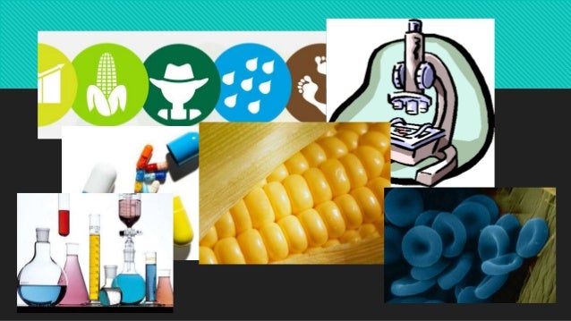 Biotecnología y sociedad