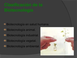 Clasificación de la
Biotecnología
Biotecnología en salud humana.
Biotecnología animal.
Biotecnología industrial.
Biotecnología vegetal.
Biotecnología ambiental.

 