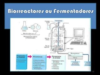 Biorreactores ou Fermentadores11