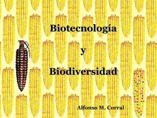 BiotecnologíaBiotecnología
yy
BiodiversidadBiodiversidad
Alfonso M. Corral
 
