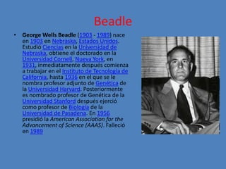 Beadle
• George Wells Beadle (1903 - 1989) nace
  en 1903 en Nebraska, Estados Unidos.
  Estudió Ciencias en la Universidad de
  Nebraska, obtiene el doctorado en la
  Universidad Cornell, Nueva York, en
  1931, inmediatamente después comienza
  a trabajar en el Instituto de Tecnología de
  California, hasta 1936 en el que se le
  nombra profesor adjunto de Genética de
  la Universidad Harvard. Posteriormente
  es nombrado profesor de Genética de la
  Universidad Stanford después ejerció
  como profesor de Biología de la
  Universidad de Pasadena. En 1956
  presidió la American Association for the
  Advancement of Science (AAAS). Falleció
  en 1989
 