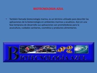 BIOTECNOLOGIA AZUL


•   También llamada biotecnología marina, es un término utilizado para describir las
    aplicaciones de la biotecnología en ambientes marinos y acuáticos. Aún en una
    fase temprana de desarrollo sus aplicaciones son prometedoras para la
    acuicultura, cuidados sanitarios, cosmética y productos alimentarios.
 