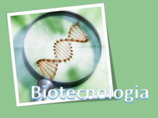 Biotecnologia 