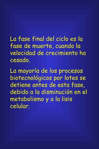La fase final del ciclo es la fase de muerte, cuando la velocidad de crecimiento ha cesado. La mayoría de los procesos biotecnológicos por lotes se detiene antes de esta fase, debido a la disminución en el metabolismo y a la lisis celular. 