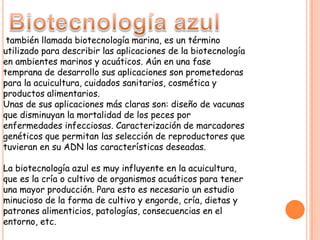 también llamada biotecnología marina, es un término
utilizado para describir las aplicaciones de la biotecnología
en ambientes marinos y acuáticos. Aún en una fase
temprana de desarrollo sus aplicaciones son prometedoras
para la acuicultura, cuidados sanitarios, cosmética y
productos alimentarios.
Unas de sus aplicaciones más claras son: diseño de vacunas
que disminuyan la mortalidad de los peces por
enfermedades infecciosas. Caracterización de marcadores
genéticos que permitan las selección de reproductores que
tuvieran en su ADN las características deseadas.

La biotecnología azul es muy influyente en la acuicultura,
que es la cría o cultivo de organismos acuáticos para tener
una mayor producción. Para esto es necesario un estudio
minucioso de la forma de cultivo y engorde, cría, dietas y
patrones alimenticios, patologías, consecuencias en el
entorno, etc.
 