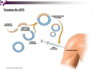 Vacunas de ADN
 