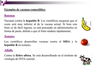 Ejemplos de vacunas comestibles:

Bananas
Vacunan contra la hepatitis B. Los científicos aseguran que el
costo será muy inferior al de la vacuna actual. Si bien este
fruto es de fácil ingesta, se está pensando en administrarlas en
forma de pasta, debido a que el fruto madura rápidamente.
Tomates
Los científicos desarrollan vacunas contra el SIDA y la
hepatitis B en tomates.
Alfalfa
Contra la fiebre aftosa. Se está desarrollando en el instituto de
virología de INTA castelar .
 
