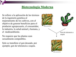 Biotecnología Moderna

Se refiere a la aplicación de las técnicas
de la ingeniería genética al
mejoramiento de los cultivos, con el
objetivo de generar beneficios para el
productor agropecuario, el consumidor,
la industria, la salud animal y humana, y
el medioambiente.                            Gen de tolerancia a
                                             sequía
No requiere que las plantas sean
sexualmente compatibles.
Solo se transfiere el gen deseado, por
ejemplo; gen de tolerancia a sequía.
 