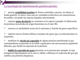 La tecnología de transformación genética permite:

 aportar variabilidad genética de forma controlada y precisa, sin alterar el
fondo genético. Es decir, crear nuevas variedades (cultivares) con características
favorables, sin perder las mejoras logradas anteriormente.
 expresar genes de interés no existentes en la especie (ejemplo: la fabricación
de proteínas insecticidas de origen bacteriano en el maíz Bt).
 conocer y/o profundizar acerca de la estructura y función de genes específicos.

 expresar nuevas formas alélicas (variantes) de genes que ya están presentes en
el genoma.
 modificar los niveles de expresión de alguna proteína transfiriendo el gen
correspondiente ya presente en la célula vegetal pero con una secuencia regulatoria
diferente, que facilite la expresión de la proteína.
 inhibir la expresión de genes presentes en el genoma (por ejemplo, la soja
transgénica hipoalergénica en la cual se inhibe o diminuye la expresión del gen que
codifica una proteína alergénica).
 