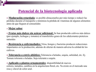 Potencial de la biotecnología aplicada
o Maduración retardada: es posible almacenarlos por más tiempo o reducir las
pérdidas durante el transporte y minimiza la pérdida de vitaminas de algunos alimentos
antes de que lleguen al consumidor.
o Mejor sabor

o Frutas más dulces sin azúcar adicional: Se han producido cultivos más dulces
(por ejemplo, lechugas y tomates) al transferirles genes de los edulcorantes proteicos
naturales

o Resistencia a enfermedades: Virus, hongos y bacterias producen reducciones
importantes en la producción, además de afectar de manera adversa la calidad de los
cultivos.

o Tolerancia a estrés abiótico: Tolerancia a heladas, sequía, salinidad, etc. Ej.
Tomate tolerante a heladas. Soja tolerante a sequía.

o Aplicado a plantas ornamentales: disponibilidad de nuevos
colores, tamaños, cambios en la arquitectura floral, etc. Ya existe en el mercado una
rosa y clavel de color azul.
 