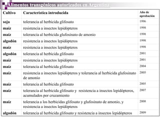 Alimentos transgénicos autorizados en Argentina
Cultivo   Característica introducida                                                  Año de
                                                                                      aprobación
soja      tolerancia al herbicida glifosato                                           1996

maíz      resistencia a insectos lepidópteros                                         1998

maíz      tolerancia al herbicida glufosinato de amonio                               1998

algodón   resistencia a insectos lepidópteros                                         1998

maíz      resistencia a insectos lepidópteros                                         1998

algodón   tolerancia al herbicida glifosato                                           2001

maíz      resistencia a insectos lepidópteros                                         2001

maíz      tolerancia al herbicida glifosato                                           2004

maíz      resistencia a insectos lepidópteros y tolerancia al herbicida glufosinato   2005
          de amonio
maíz      tolerancia al herbicida glifosato                                           2005

maíz      tolerancia al herbicida glifosato y resistencia a insectos lepidópteros,    2007
          acumulados por cruzamiento
maíz      tolerancia a los herbicidas glifosato y glufosinato de amonio, y            2008
          resistencia a insectos lepidópteros
algodón   tolerancia al herbicida glifosato y resistencia a insectos lepidópteros     2009
 