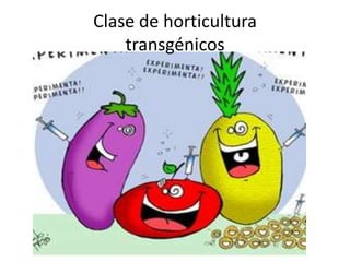 Clase de horticultura
    transgénicos
 