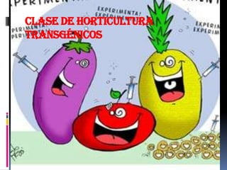 Clase de horticultura
transgénicos
 