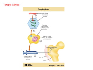 Terapia Gênica
 