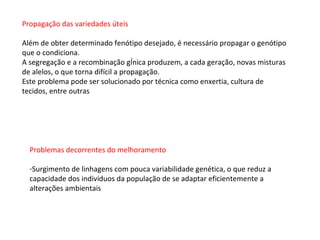 Propagação das variedades úteis

Além de obter determinado fenótipo desejado, é necessário propagar o genótipo
que o condiciona.
A segregação e a recombinação gênica produzem, a cada geração, novas misturas
de alelos, o que torna difícil a propagação.
Este problema pode ser solucionado por técnica como enxertia, cultura de
tecidos, entre outras




  Problemas decorrentes do melhoramento

  -Surgimento de linhagens com pouca variabilidade genética, o que reduz a
  capacidade dos indivíduos da população de se adaptar eficientemente a
  alterações ambientais
 