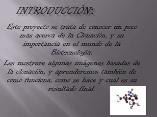 Este proyecto se trata de conocer un poco
     mas acerca de la Clonación, y su
       importancia en el mundo de la
                Biotecnología.
Les mostrare algunas imágenes basadas de
 la clonación, y aprenderemos también de
 como funciona, como se hace y cual es su
               resultado final.
 