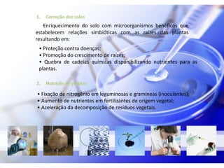 Enriquecimento do solo com microorganismos benéficos que
estabelecem relações simbióticas com as raízes das plantas
resultando em:
 • Proteção contra doenças;
 • Promoção do crescimento de raízes;
 • Quebra de cadeias químicas disponibilizando nutrientes para as
 plantas.



• Fixação de nitrogênio em leguminosas e gramíneas (inoculantes);
• Aumento de nutrientes em fertilizantes de origem vegetal;
• Aceleração da decomposição de resíduos vegetais.
 
