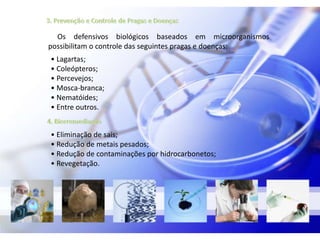 Os defensivos biológicos baseados em microorganismos
possibilitam o controle das seguintes pragas e doenças:
• Lagartas;
• Coleópteros;
• Percevejos;
• Mosca-branca;
• Nematóides;
• Entre outros.


• Eliminação de sais;
• Redução de metais pesados;
• Redução de contaminações por hidrocarbonetos;
• Revegetação.
 