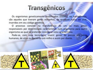 Os organismos geneticamente modificados (OGMs), ou transgênicos,
são aqueles que tiveram genes estranhos, de qualquer outro ser vivo,
inseridos em seu código genético.
   O processo consiste na transferência de um ou mais genes
responsáveis por determinada característica num organismo para outro
organismo ao qual se pretende incorporar esta característica.
   Pode-se, com essa tecnologia, inserir genes de porcos em seres
humanos, de vírus ou bactérias em milho e assim por diante.
 