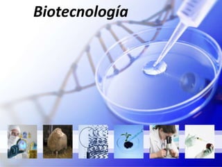 Biotecnología
 