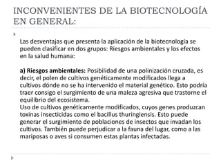 INCONVENIENTES DE LA BIOTECNOLOGÍA
EN GENERAL:

Las desventajas que presenta la aplicación de la biotecnología se
pueden clasificar en dos grupos: Riesgos ambientales y los efectos
en la salud humana:
a) Riesgos ambientales: Posibilidad de una polinización cruzada, es
decir, el polen de cultivos genéticamente modificados llega a
cultivos dónde no se ha intervenido el material genético. Esto podría
traer consigo el surgimiento de una maleza agresiva que trastorne el
equilibrio del ecosistema.
Uso de cultivos genéticamente modificados, cuyos genes produzcan
toxinas insecticidas como el bacillus thuringiensis. Esto puede
generar el surgimiento de poblaciones de insectos que invadan los
cultivos. También puede perjudicar a la fauna del lugar, como a las
mariposas o aves si consumen estas plantas infectadas.
 