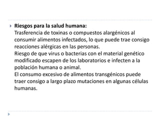  Riesgos para la salud humana:
Trasferencia de toxinas o compuestos alargénicos al
consumir alimentos infectados, lo que puede trae consigo
reacciones alérgicas en las personas.
Riesgo de que virus o bacterias con el material genético
modificado escapen de los laboratorios e infecten a la
población humana o animal.
El consumo excesivo de alimentos transgénicos puede
traer consigo a largo plazo mutaciones en algunas células
humanas.
 