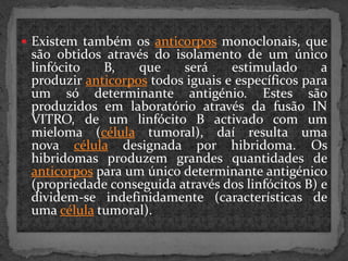  Existem também os anticorpos monoclonais, que

são obtidos através do isolamento de um único
linfócito
B,
que
será
estimulado
a
produzir anticorpos todos iguais e específicos para
um só determinante antigénio. Estes são
produzidos em laboratório através da fusão IN
VITRO, de um linfócito B activado com um
mieloma (célula tumoral), daí resulta uma
nova célula designada por hibridoma. Os
hibridomas produzem grandes quantidades de
anticorpos para um único determinante antigénico
(propriedade conseguida através dos linfócitos B) e
dividem-se indefinidamente (características de
uma célula tumoral).

 