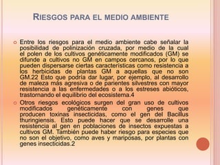 RIESGOS PARA EL MEDIO AMBIENTE
 Entre los riesgos para el medio ambiente cabe señalar la
posibilidad de polinización cruzada, por medio de la cual
el polen de los cultivos genéticamente modificados (GM) se
difunde a cultivos no GM en campos cercanos, por lo que
pueden dispersarse ciertas características como resistencia a
los herbicidas de plantas GM a aquellas que no son
GM.22 Esto que podría dar lugar, por ejemplo, al desarrollo
de maleza más agresiva o de parientes silvestres con mayor
resistencia a las enfermedades o a los estreses abióticos,
trastornando el equilibrio del ecosistema.4
 Otros riesgos ecológicos surgen del gran uso de cultivos
modificados genéticamente con genes que
producen toxinas insecticidas, como el gen del Bacillus
thuringiensis. Esto puede hacer que se desarrolle una
resistencia al gen en poblaciones de insectos expuestas a
cultivos GM. También puede haber riesgo para especies que
no son el objetivo, como aves y mariposas, por plantas con
genes insecticidas.2
 