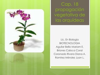 Cap. 18
propagación
vegetativa de
las orquídeas
Lic. En Biología
BIOTECNOLOGIA
Aguilar Bello Mariam E.
Briones Caloca Coral
Coronado Rivera Diana A.
Ramírez Méndez Juan L.
 
