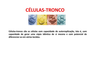 CÉLULAS-TRONCO
Células-tronco são as células com capacidade de autorreplicação, isto é, com
capacidade de gerar uma cópia idêntica de si mesma e com potencial de
diferenciar-se em vários tecidos.
 