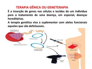 TERAPIA GÊNICA OU GENETERAPIA
É a inserção de genes nas células e tecidos de um indivíduo
para o tratamento de uma doença, em especial, doenças
hereditárias.
A terapia genética visa a suplementar com alelos funcionais
aqueles que são defeituosos.
 