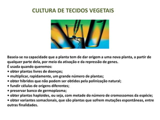 CULTURA DE TECIDOS VEGETAIS
Baseia-se na capacidade que a planta tem de dar origem a uma nova planta, a partir de
qualquer parte dela, por meio da ativação e da repressão de genes.
É usada quando queremos:
• obter plantas livres de doenças;
• multiplicar, rapidamente, um grande número de plantas;
• obter híbridos que não podem ser obtidos pela polinização natural;
• fundir células de origens diferentes;
• preservar banco de germoplasma;
• obter plantas haploides, ou seja, com metade do número de cromossomos da espécie;
• obter variantes somaclonais, que são plantas que sofrem mutações espontâneas, entre
outras finalidades.
 