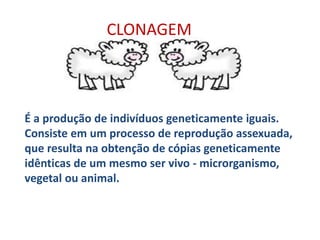 CLONAGEM
É a produção de indivíduos geneticamente iguais.
Consiste em um processo de reprodução assexuada,
que resulta na obtenção de cópias geneticamente
idênticas de um mesmo ser vivo - microrganismo,
vegetal ou animal.
 