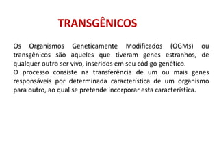 TRANSGÊNICOS
Os Organismos Geneticamente Modificados (OGMs) ou
transgênicos são aqueles que tiveram genes estranhos, de
qualquer outro ser vivo, inseridos em seu código genético.
O processo consiste na transferência de um ou mais genes
responsáveis por determinada característica de um organismo
para outro, ao qual se pretende incorporar esta característica.
 
