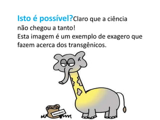 Isto é possível?Claro que a ciência
não chegou a tanto!
Esta imagem é um exemplo de exagero que
fazem acerca dos transgênicos.
 